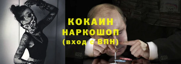 индика Балабаново