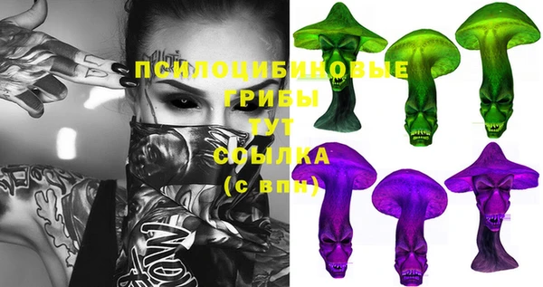 стаф Балахна