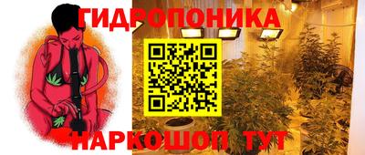 стаф Гусев