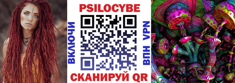 магазин продажи наркотиков  Холмск  Галлюциногенные грибы Psilocybine cubensis 
