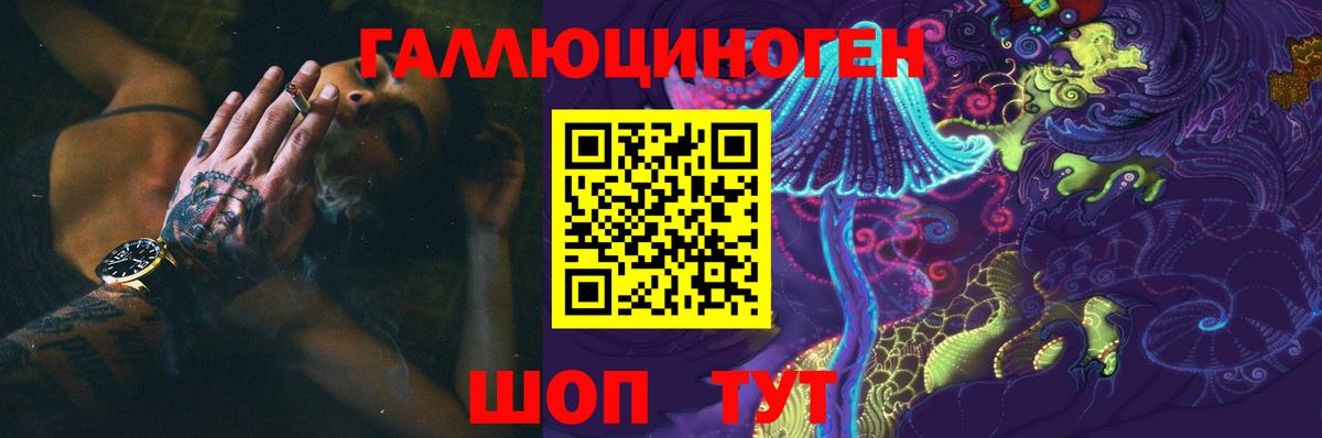Холмск  Галлюциногенные грибы мицелий  Галлюциногенные грибы Psilocybine cubensis  купить наркоту  Вход с VPN 